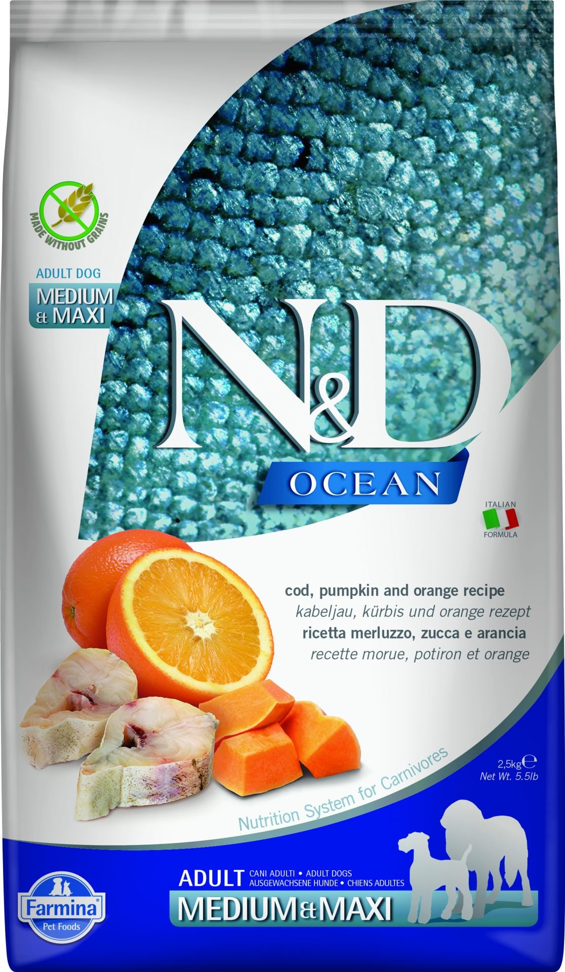 N&D Ocean Morina Balıklı Bal Kabaklı ve Portakallı Orta ve Büyük Irk Tahılsız Yetişkin Köpek Maması 2,5 Kg
