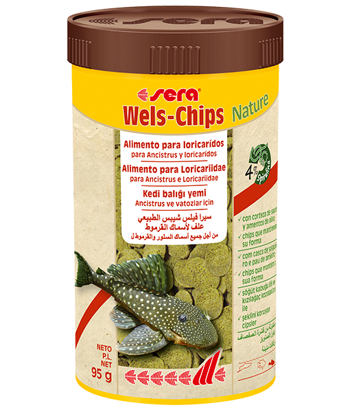 Sera Wels-Chips Nature Balık Yemi 250 ml