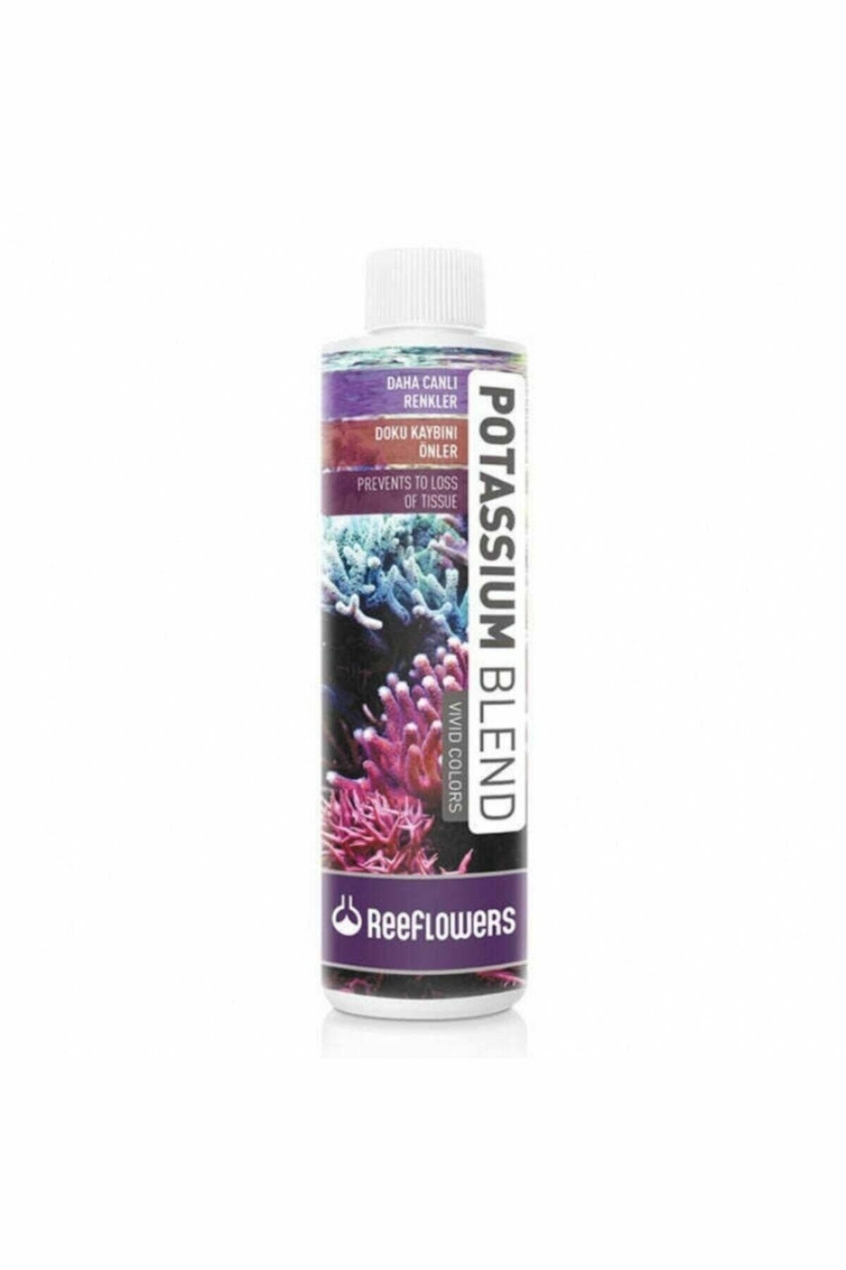 Potassium Blend Vivid Colors Mercan Renklendirici 500ml