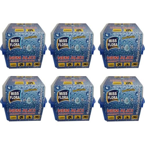 Miss Flora 6'lı Ekonomik Paket (6 adet 450 gr Nem Alıcı)