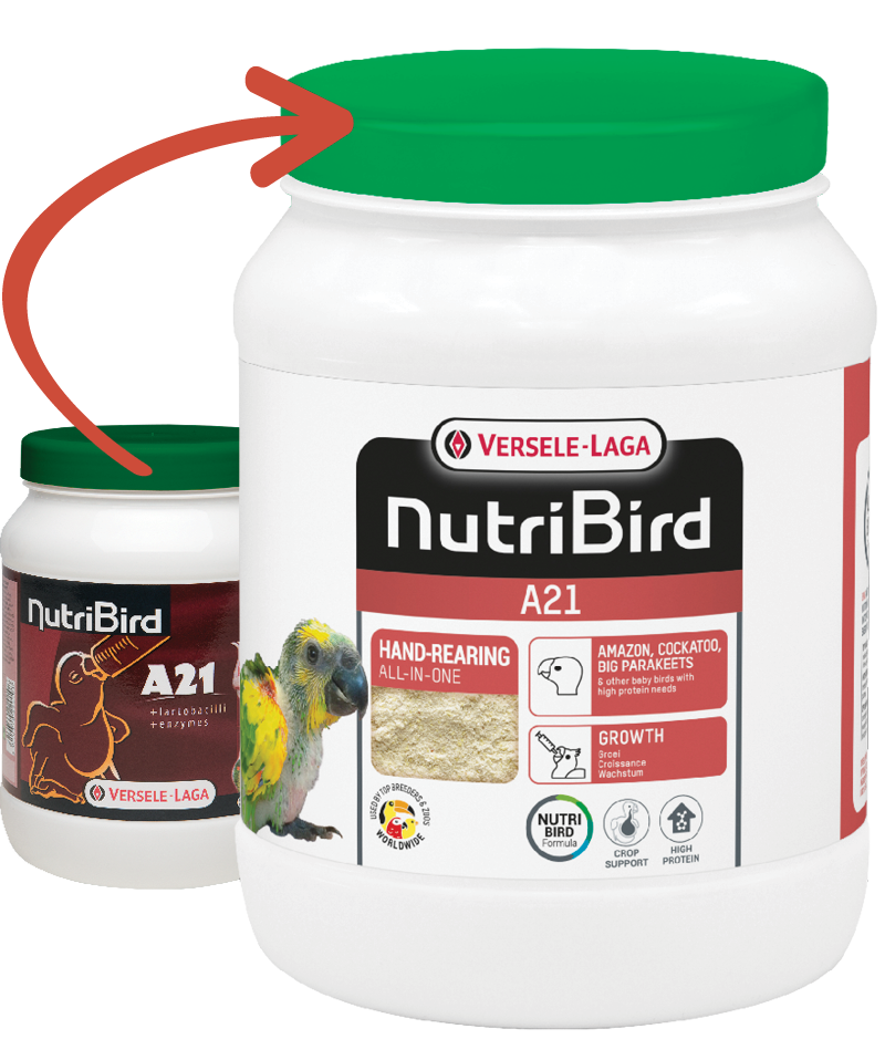 Versele-Laga Nutribird A21 Yavru Papağan Elle Yetiştirme Maması 800 Gr