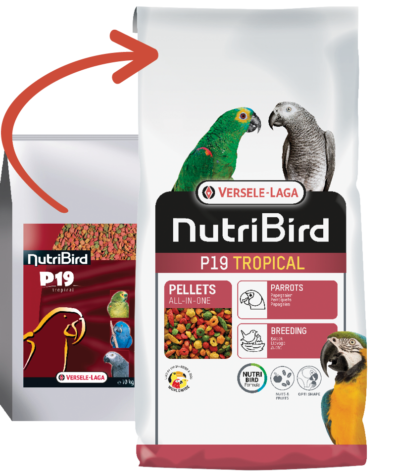 Versele-Laga Nutribird P19 Tropical Papağan Pelet 10 Kg