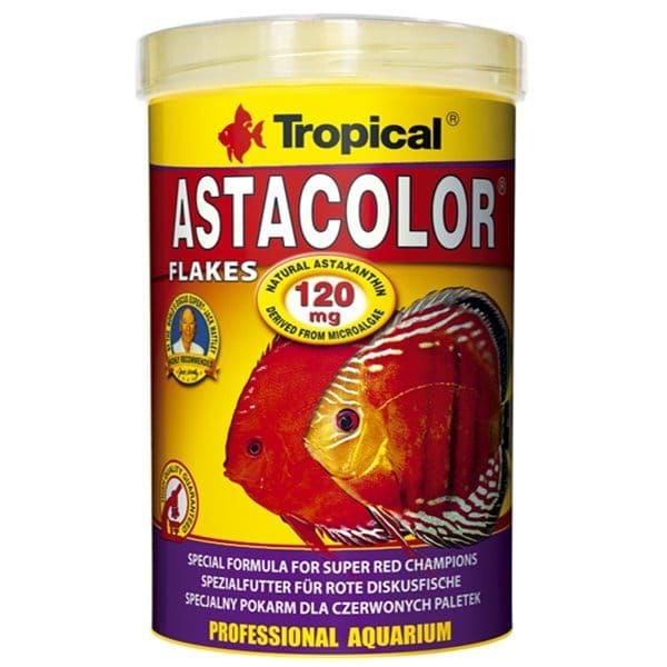 Tropical Astacolor Flakes Kırmızı Discus Pul Balık Yemi 100 ml