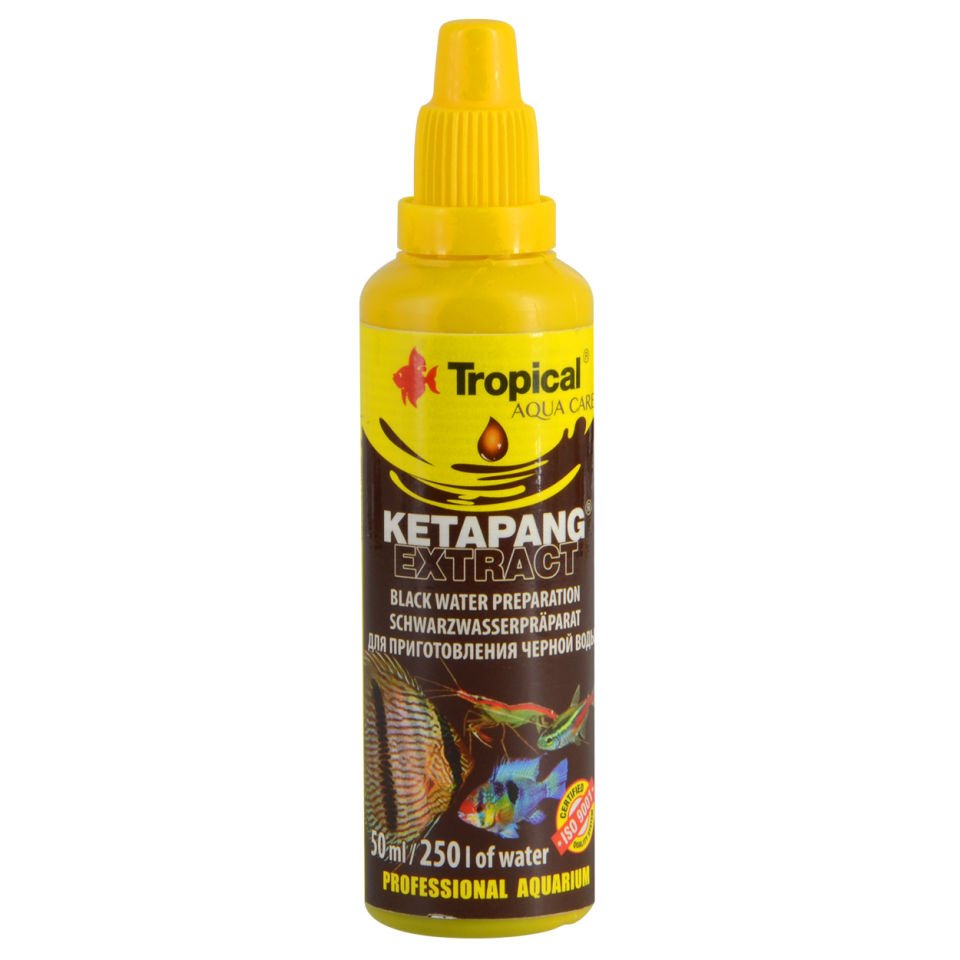 Tropical Ketapang Extract Su Düzenleyici 50 ml