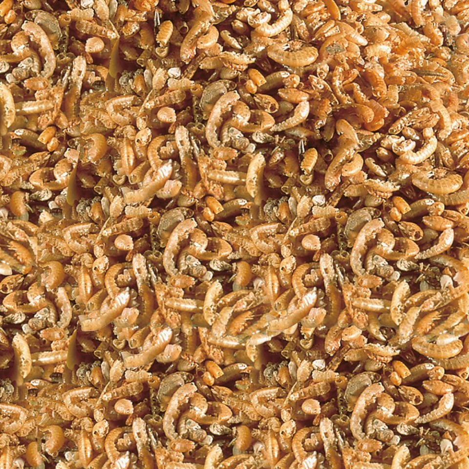 Sera Raffy I (Gammarus) Nature Kaplumbağa Yemi 250 ml