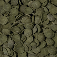 Tropical Green Algae Wafers Akvaryum Balık Yemi 250 gr (Orijinal Paket)