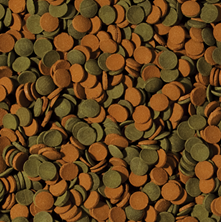 Tropical Mini Wafers Mix Balık Yemi 18 gr