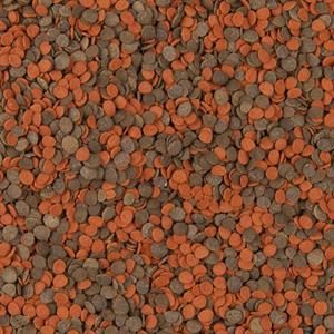 Tropical Cichlid Chips Akvaryum Balık Yemi 250 ml
