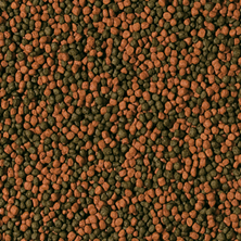 Tropical Cichlid Omnivore Small Pellet Akvaryum Balık Yemi 1000 ml