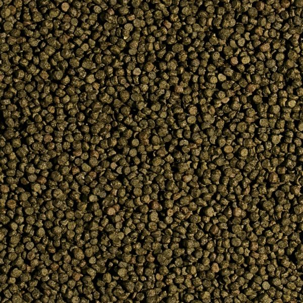 Tropical Koi Wheat Germ Garlic Pellet Size S 1000 ml