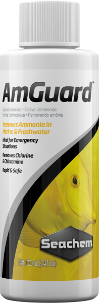 Seachem AmGuard Amonyak Giderici 100 ml