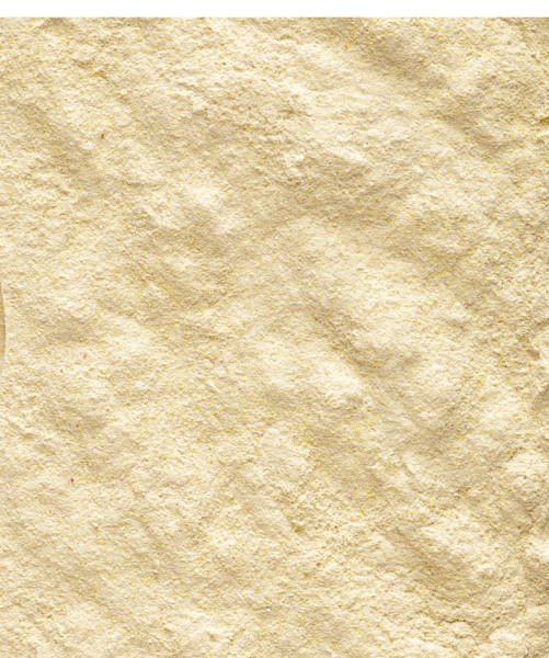 Versele-Laga Orlux Handmix Büyütme Maması 500 gr