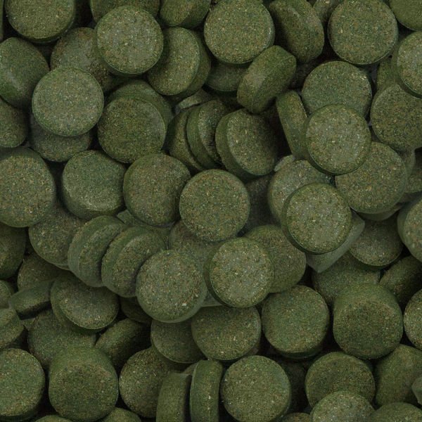 Sera Spirulina Tabs Nature Balık Yemi 24 Tablet 15 gr