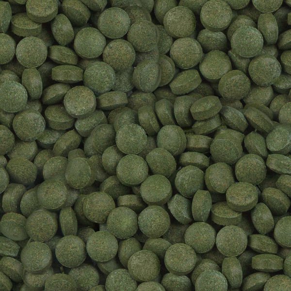 Sera Plankton Tabs Nature Balık Yemi 5500 Tablet