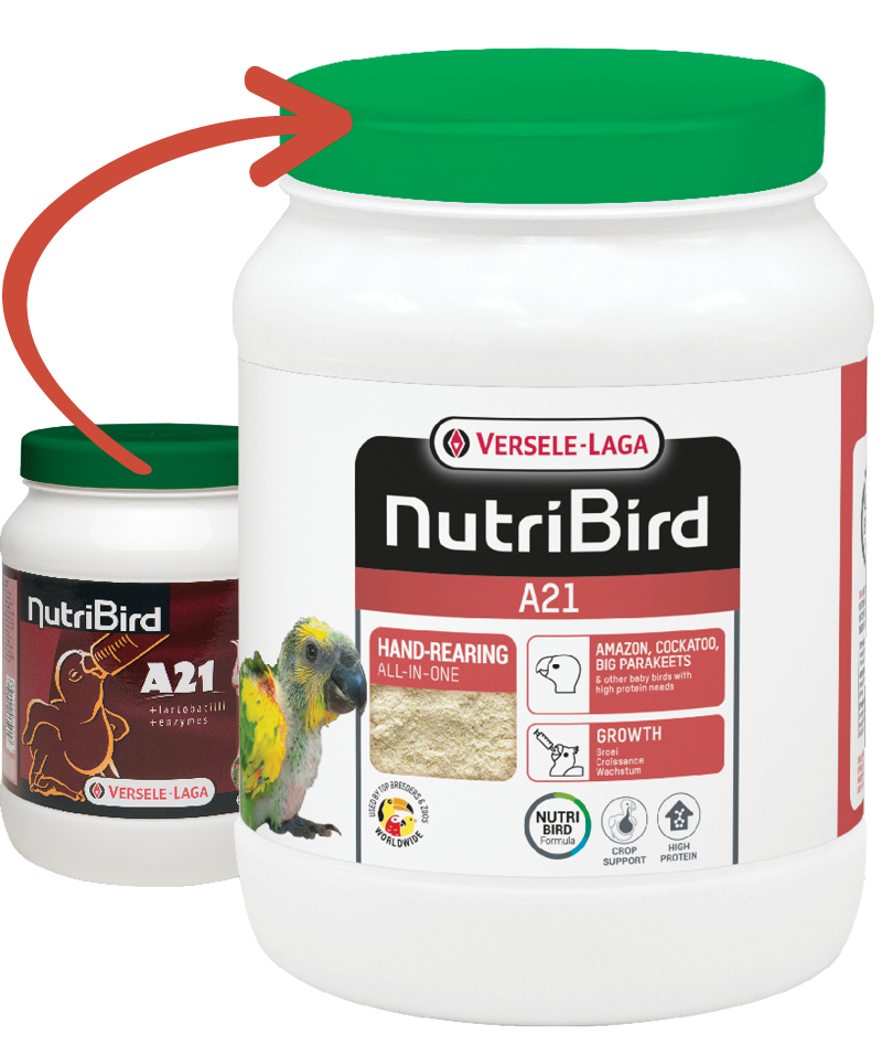 Versele-Laga Nutribird A21 Yavru Papağan Elle Yetiştirme Maması 800 Gr