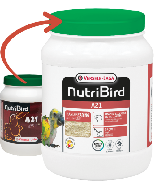 Versele-Laga Nutribird A21 Yavru Papağan Elle Yetiştirme Maması 800 Gr