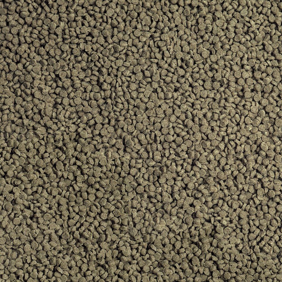 Sera Granugreen Nature Balık Yemi 10 Lt