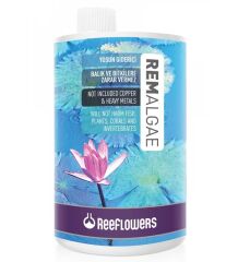 Reeflowers Rem Algae Pond Yosun Giderici 1000 ml