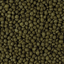 Tropical Cichlid Herbivore Small Pellet Akvaryum Balık Yemi 1000 ml