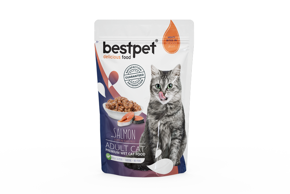 Bestpet Salmon In Jelly Pouch Yaş Kedi Maması 85 gr