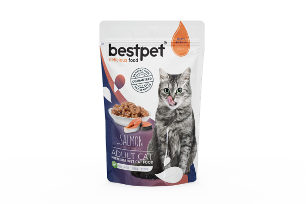 Bestpet Salmon In Jelly Pouch Yaş Kedi Maması 85 gr