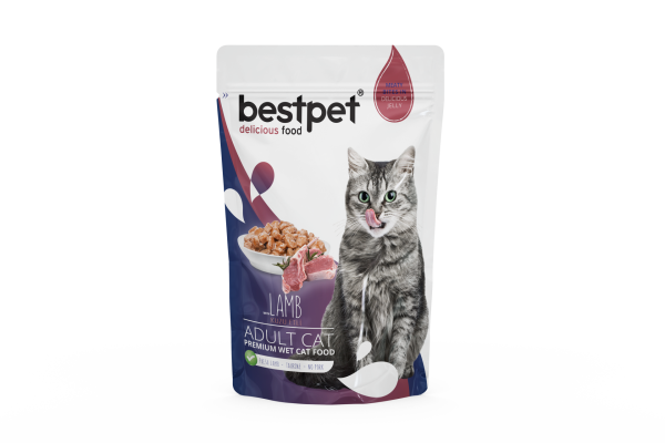 ch Yaş Kedi Maması 85 gr