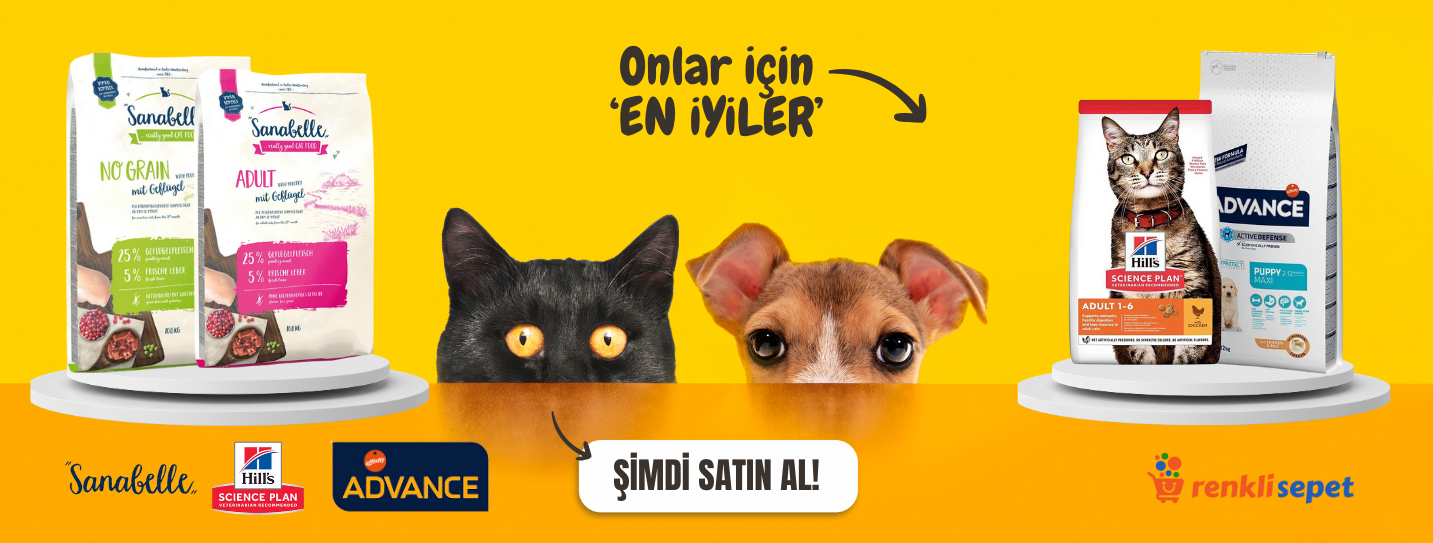 Alt Etiket
